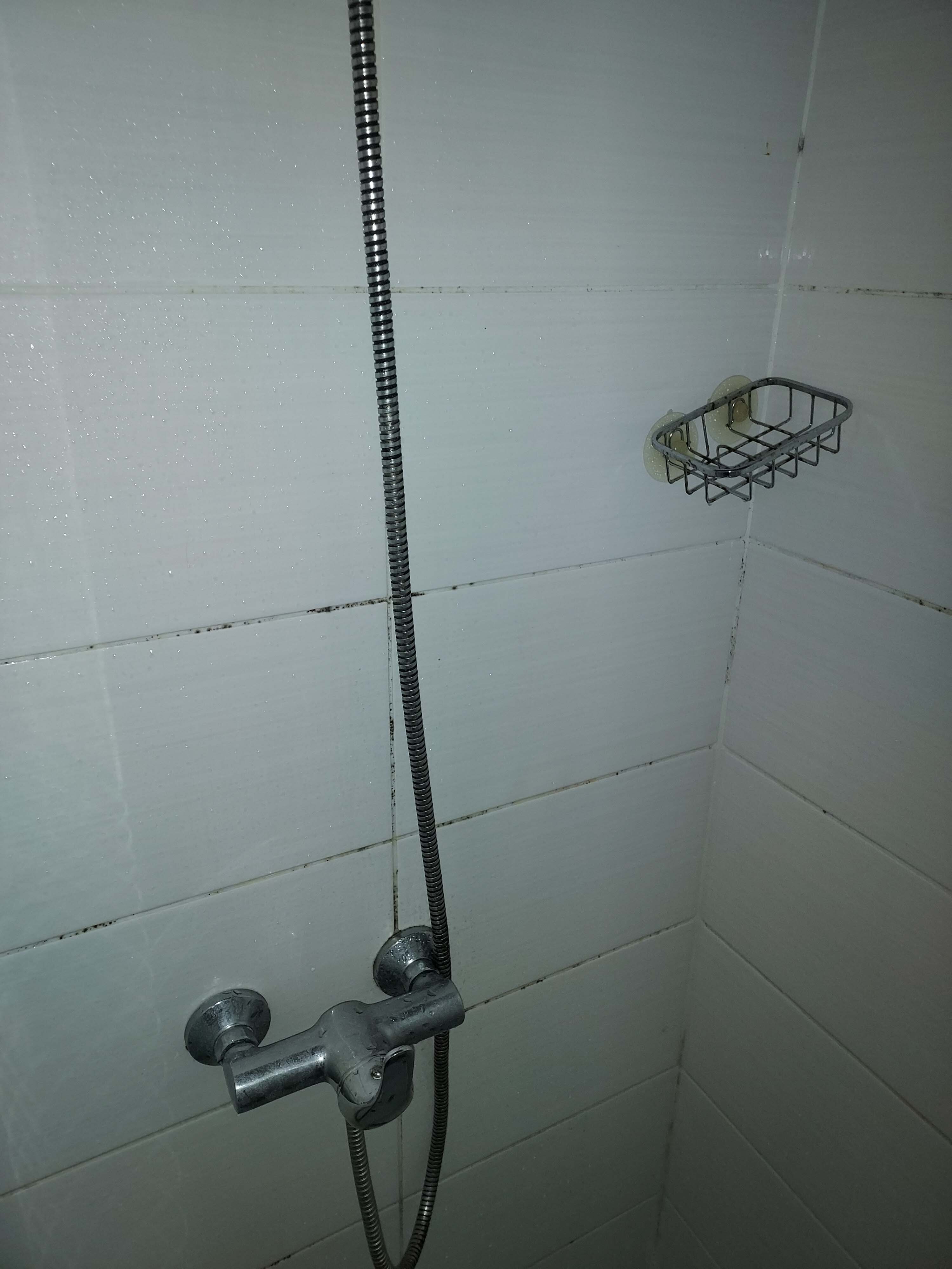 Portfolio Guest House